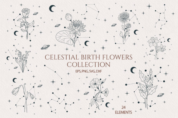 Download Hand Drawn Celestial Birth Month Flowers - Celestial Collection